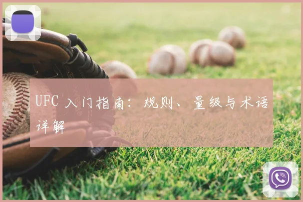 UFC 入门指南：规则、量级与术语详解