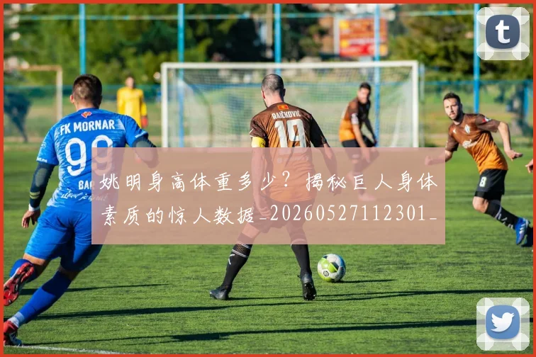 姚明身高体重多少?揭秘巨人身体素质的惊人数据_20260527112301_20260703233049