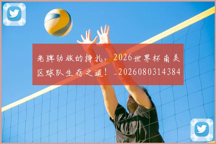 老牌劲旅的挣扎，2026世界杯南美区球队生存之道！_20260803143841
