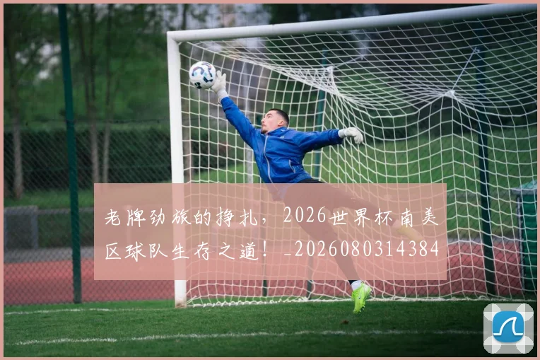 老牌劲旅的挣扎，2026世界杯南美区球队生存之道！_20260803143841